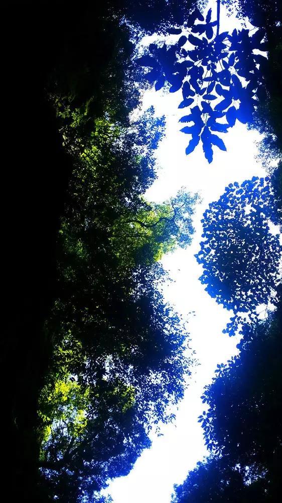 生化危机：启示录