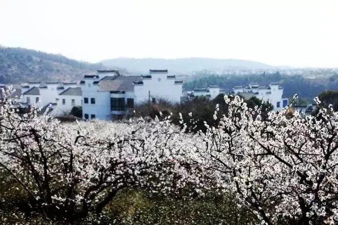 生态农业协会助推转型升级